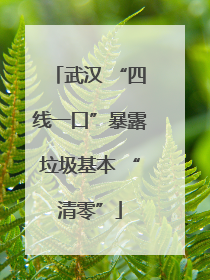 武汉 “四线一口”暴露垃圾基本 “清零”