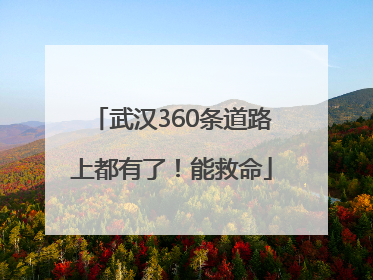 武汉360条道路上都有了！能救命
