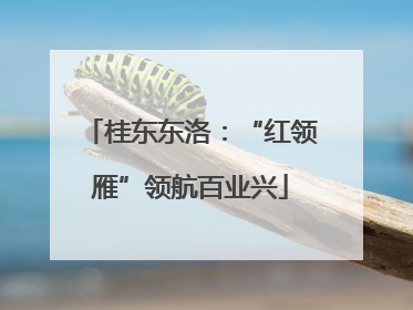 桂东东洛：“红领雁”领航百业兴