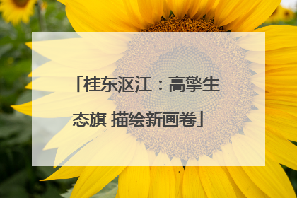 桂东沤江：高擎生态旗 描绘新画卷