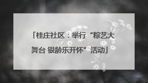 桂庄社区：举行“粽艺大舞台 银龄乐开怀”活动