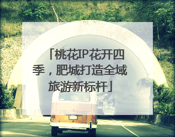 桃花IP花开四季，肥城打造全域旅游新标杆