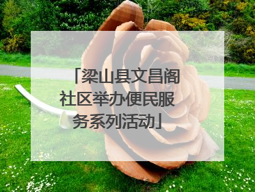 梁山县文昌阁社区举办便民服务系列活动