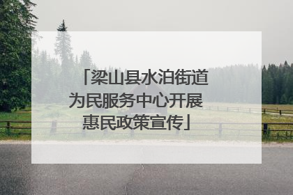 梁山县水泊街道为民服务中心开展惠民政策宣传