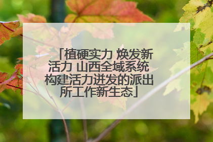 植硬实力 焕发新活力 山西全域系统构建活力迸发的派出所工作新生态