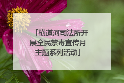 横道河司法所开展全民禁毒宣传月主题系列活动