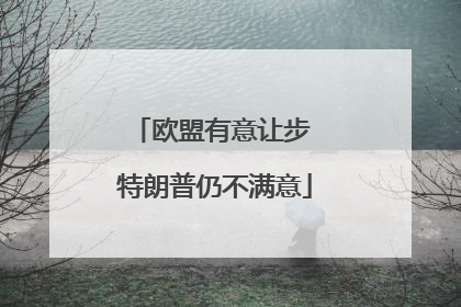 欧盟有意让步 特朗普仍不满意
