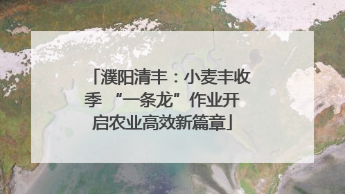 濮阳清丰：小麦丰收季 “一条龙”作业开启农业高效新篇章