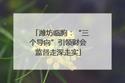 潍坊临朐：“三个导向”引领财会监督走深走实