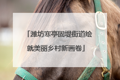 潍坊寒亭固堤街道绘就美丽乡村新画卷