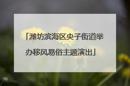 潍坊滨海区央子街道举办移风易俗主题演出