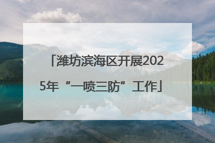 潍坊滨海区开展2025年“一喷三防”工作