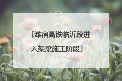 潍宿高铁临沂段进入架梁施工阶段