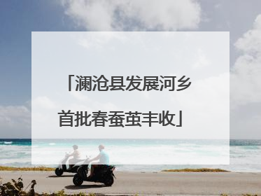 澜沧县发展河乡首批春蚕茧丰收