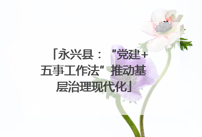 永兴县：“党建+五事工作法”推动基层治理现代化