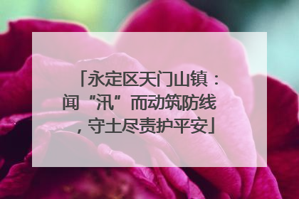 永定区天门山镇：闻“汛”而动筑防线，守土尽责护平安