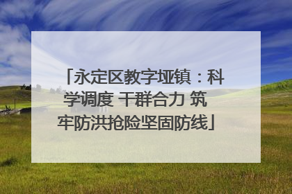 永定区教字垭镇：科学调度 干群合力 筑牢防洪抢险坚固防线