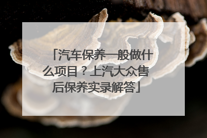 汽车保养一般做什么项目？上汽大众售后保养实录解答