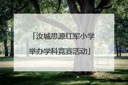 汝城思源红军小学举办学科竞赛活动
