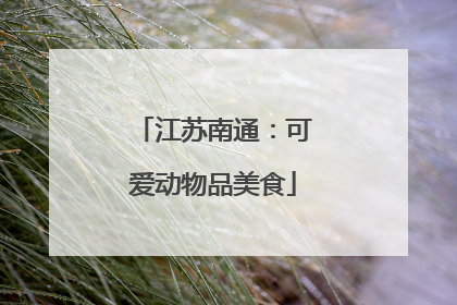 江苏南通：可爱动物品美食