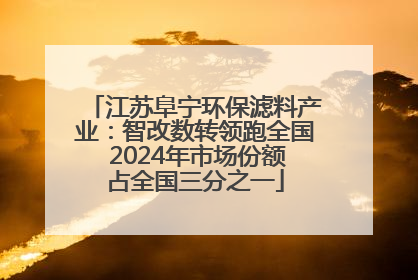 江苏阜宁环保滤料产业：智改数转领跑全国 2024年市场份额占全国三分之一
