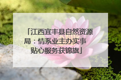 江西宜丰县自然资源局：情系业主办实事 贴心服务获锦旗