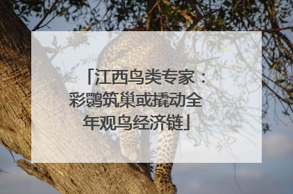 江西鸟类专家：彩鹮筑巢或撬动全年观鸟经济链