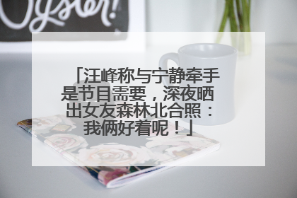 汪峰称与宁静牵手是节目需要，深夜晒出女友森林北合照：我俩好着呢！