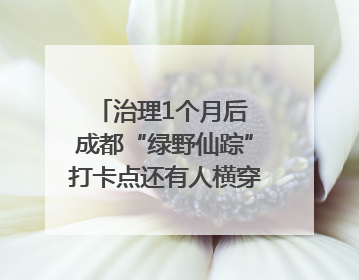 治理1个月后 成都“绿野仙踪”打卡点还有人横穿马路去拍照吗？｜民情瞭望