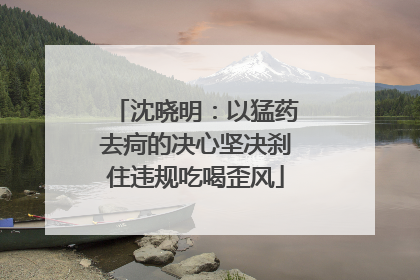 沈晓明：以猛药去疴的决心坚决刹住违规吃喝歪风