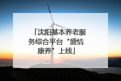 沈阳基本养老服务综合平台“盛情康养”上线