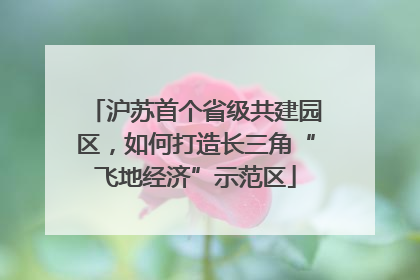 沪苏首个省级共建园区，如何打造长三角“飞地经济”示范区