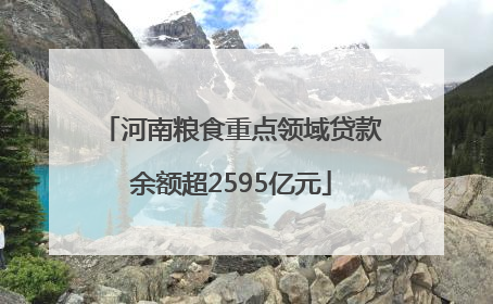 河南粮食重点领域贷款余额超2595亿元