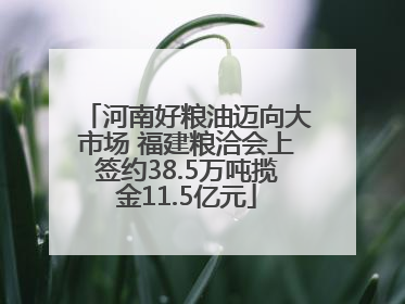 河南好粮油迈向大市场 福建粮洽会上签约38.5万吨揽金11.5亿元