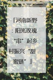 河南新野：阳光玫瑰“串”起乡村振兴“甜蜜链”