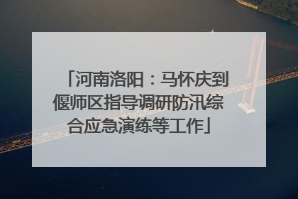 河南洛阳：马怀庆到偃师区指导调研防汛综合应急演练等工作