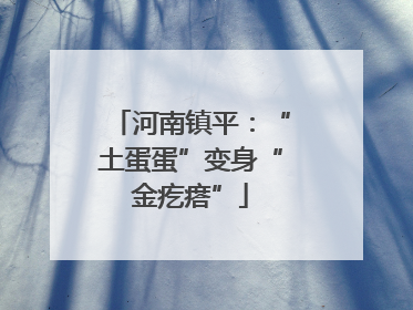 河南镇平：“土蛋蛋”变身“金疙瘩”