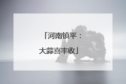 河南镇平：大蒜喜丰收