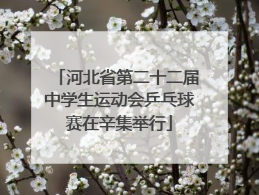 河北省第二十二届中学生运动会乒乓球赛在辛集举行