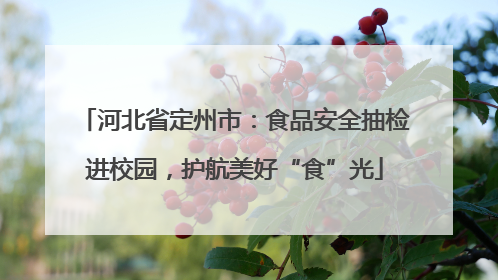 河北省定州市：食品安全抽检进校园，护航美好“食”光