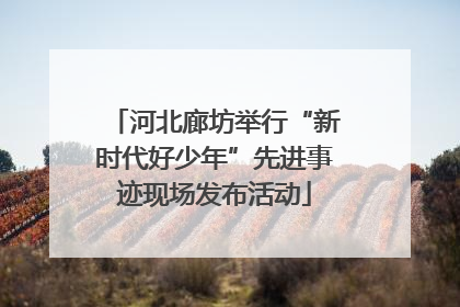 河北廊坊举行“新时代好少年”先进事迹现场发布活动