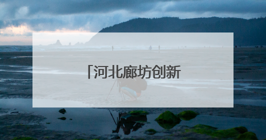 河北廊坊创新机制——优环境解难题促发展