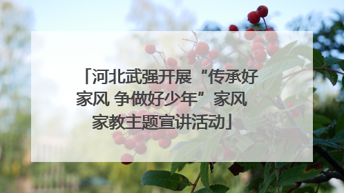 河北武强开展“传承好家风 争做好少年”家风家教主题宣讲活动