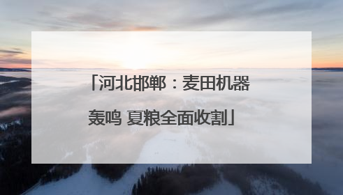 河北邯郸：麦田机器轰鸣 夏粮全面收割