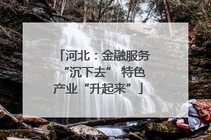 河北：金融服务“沉下去” 特色产业“升起来”