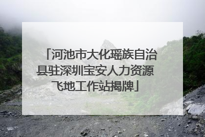 河池市大化瑶族自治县驻深圳宝安人力资源飞地工作站揭牌