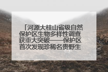 河源大桂山省级自然保护区生物多样性调查获重大突破——保护区首次发现珍稀名贵野生干巴菌与钝尾两头蛇