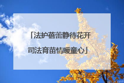 法护蓓蕾静待花开 司法育苗情暖童心