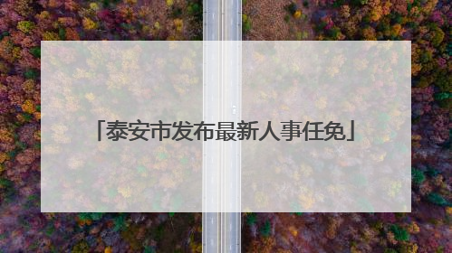 泰安市发布最新人事任免