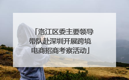 洛江区委主要领导带队赴深圳开展跨境电商招商考察活动